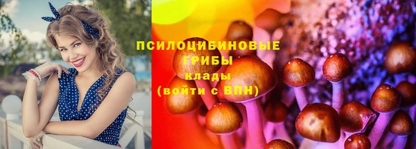 ешки Алзамай