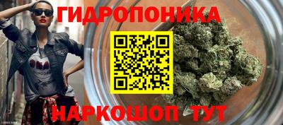 ГАЛЛЮЦИНОГЕННЫЕ ГРИБЫ Славянск-на-Кубани