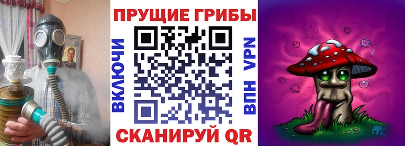 Галлюциногенные грибы Cubensis Ревда