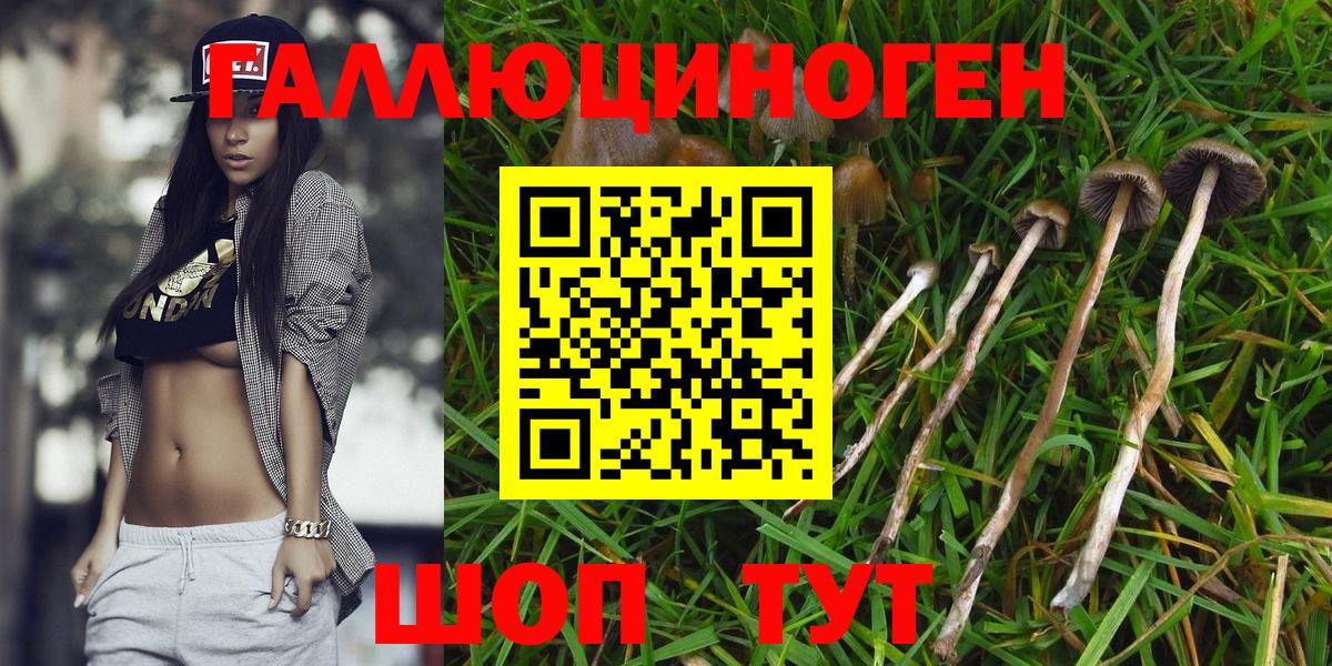 Галлюциногенные грибы мухоморы Ревда