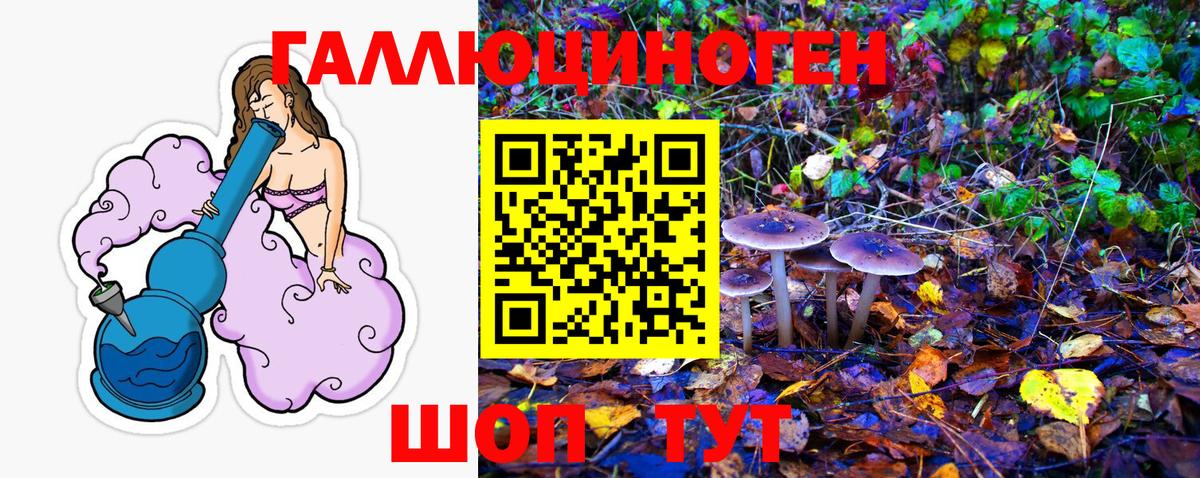 Псилоцибиновые грибы мухоморы  где купить наркоту  Ревда  Вход с VPN 
